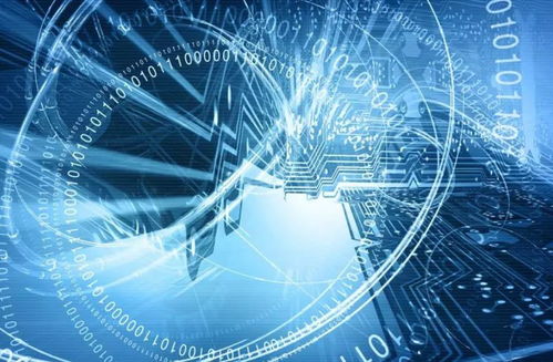 網(wǎng)絡(luò)清源 立法護(hù)航，技術(shù)賦能